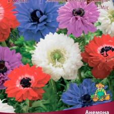 Анемона корончатая Сент Бриджид смесь окрасок