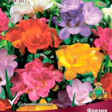 Фрезия гибридная махровая смесь окрасок