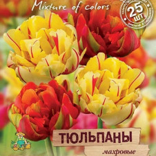 Тюльпаны махровые 