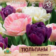 Тюльпаны махровые 